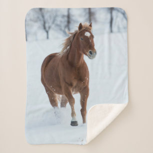Couverture Sherpa Cheval simple courant dans la neige