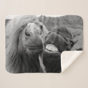 Couverture Sherpa Chevaux de sourire des images   de Getty