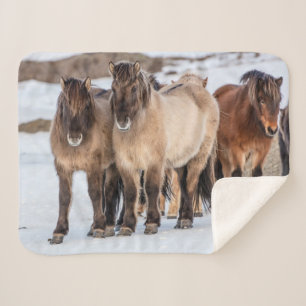 Couverture Sherpa Chevaux islandais en hiver près de Hofn, Islande