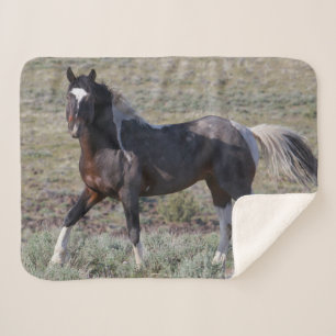 Couverture Sherpa Chevaux sauvages après un bain de poussière