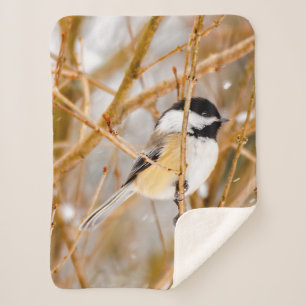 Couverture Sherpa Chickadee au plafond noir - Photo originale