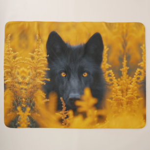 Couverture Sherpa Chien noir aux yeux d'or étonnants