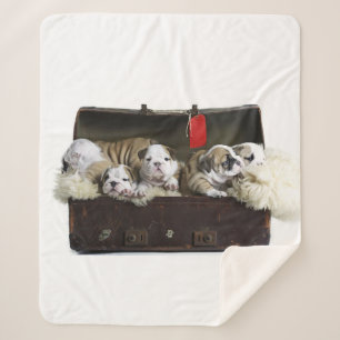 Couverture Sherpa Chiens De Chien En Suitcase Mignonne Chien De Gros