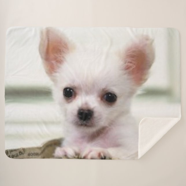 COUVERTURE SHERPA CHIOT DE CHIWAWA (Devant (Horizontal))