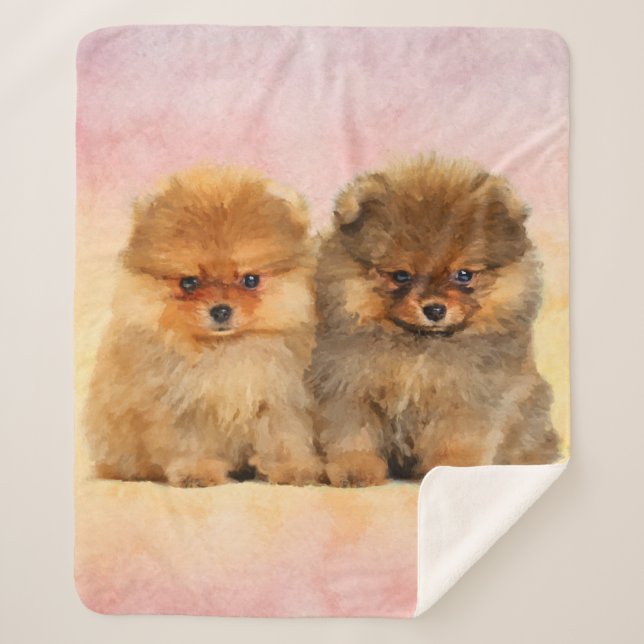 Couverture Sherpa Chiots allemands mignons de Spitz de Pomeranian (Devant)