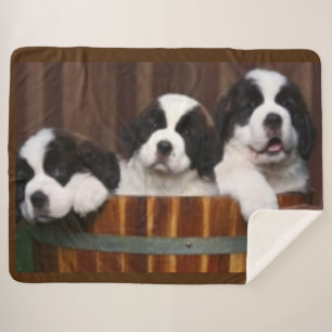 COUVERTURE SHERPA CHIOTS ST-BERNARD