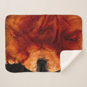 Couverture Sherpa Chow Chow Chow sbcna