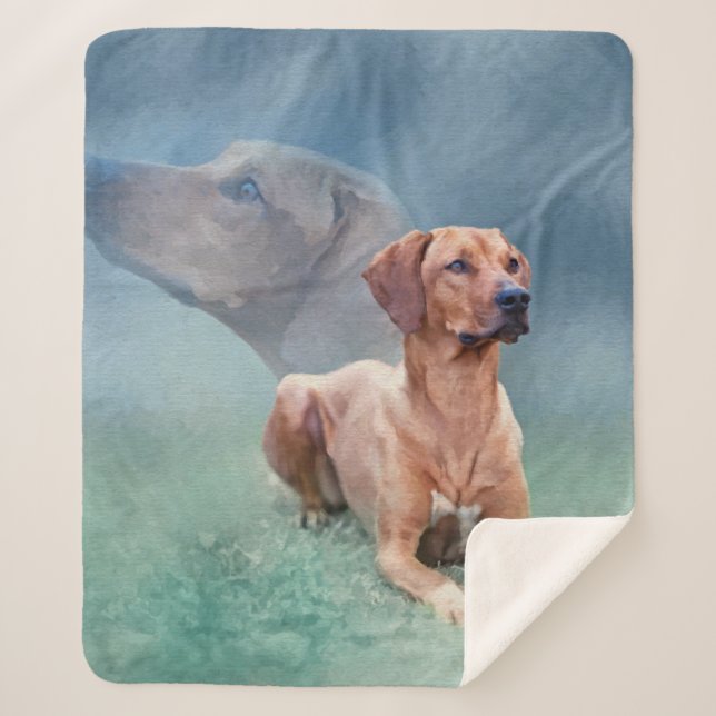 Couverture Sherpa Collage de chien de Rhodesian Ridgeback (Devant)