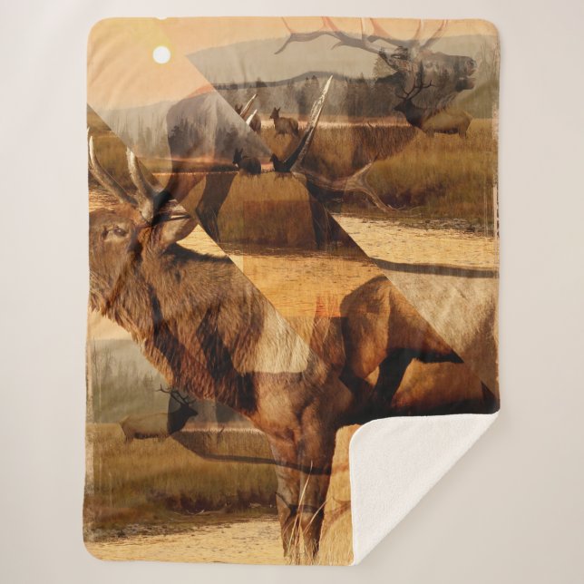 Couverture Sherpa Collage du lever de soleil du wapiti mâle (Devant)