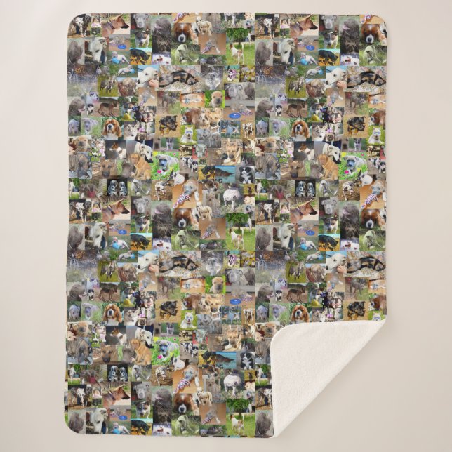 Couverture Sherpa Collage photo de chien, (Devant)