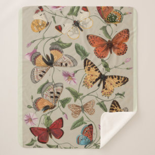 Couverture Sherpa Collection de la papillon Moth Nature Dessin
