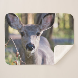 Couverture Sherpa Colombien Doe à queue noire   État de Washington