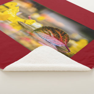Couverture Sherpa Couleurs d'automne