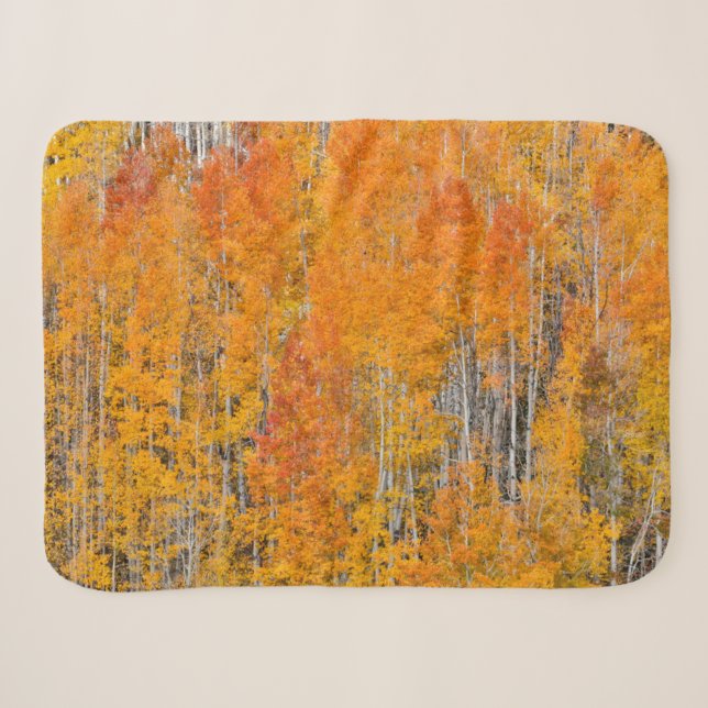 Couverture Sherpa Couleurs d'automne sur Aspen Groves (Devant (Horizontal))