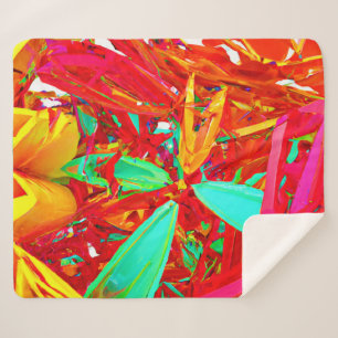 Couverture Sherpa Couleurs vives Motif Abstrait