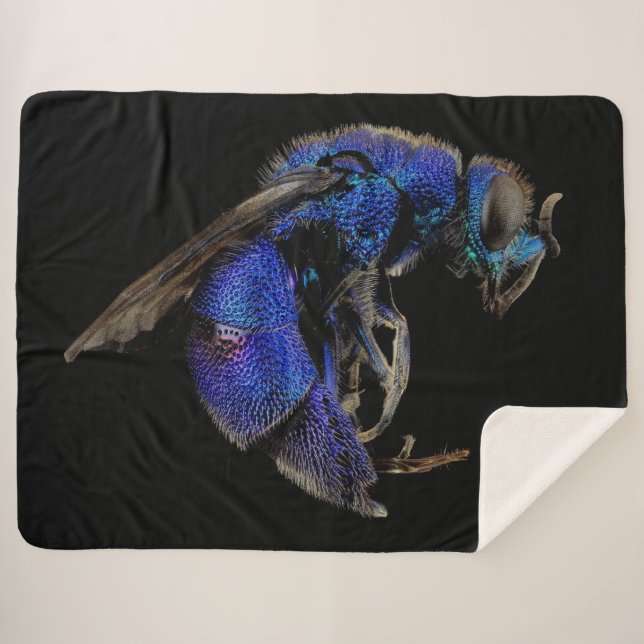 COUVERTURE SHERPA CUCKOO (Devant (Horizontal))