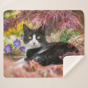 Couverture Sherpa Cute chat noir blanc reposant sous un érablière -