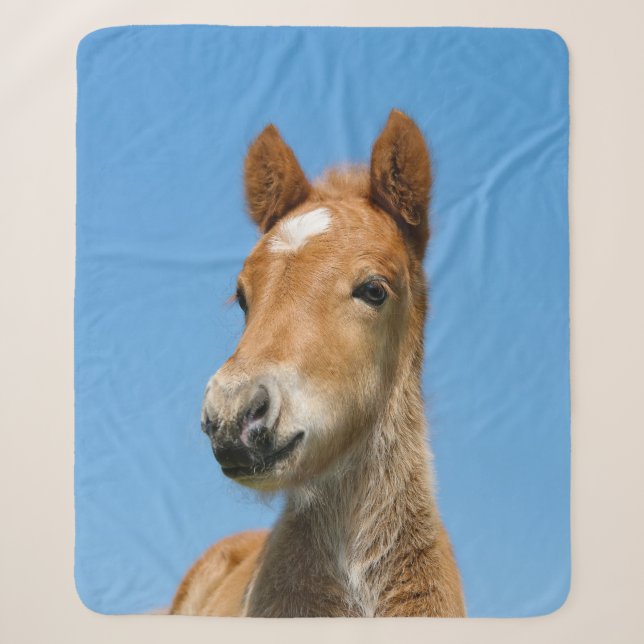 Couverture Sherpa Cute Islandais Horse Foal Pony Head Photo .. (Devant)