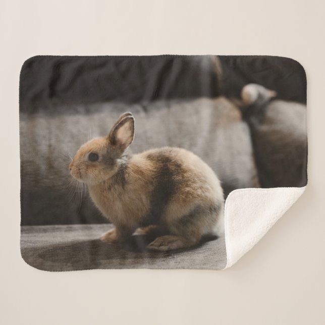 Couverture Sherpa Cutest Baby Animals | Netherland Dwarf Rabbit (Devant (Horizontal))