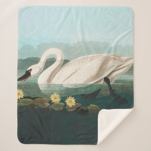 Couverture Sherpa cygne audubon cygnes d'eau blanche