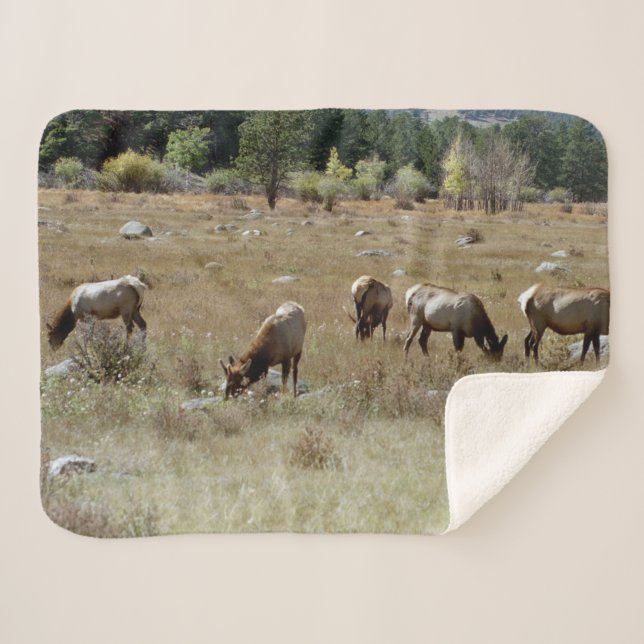 Couverture sherpa d'élan (Devant (Horizontal))