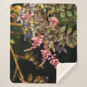 Couverture Sherpa Des fleurs roses contre un arrière - plan noir