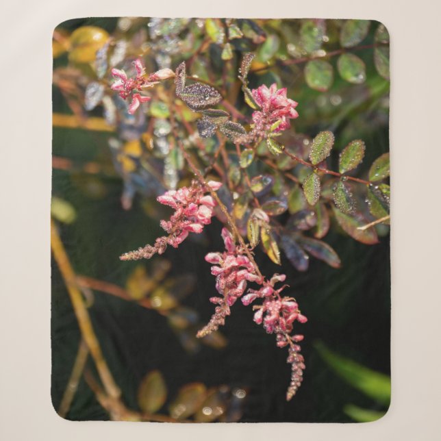 Couverture Sherpa Des fleurs roses contre un arrière - plan noir (Devant)