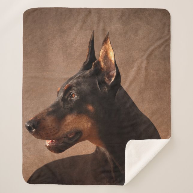 Couverture Sherpa Dobermann - Pinscher de dobermann (Devant)