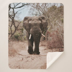 COUVERTURE SHERPA ÉLÉPHANT NOIR MARCHANT SUR SABLE BROWN