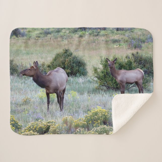Couverture Sherpa Elk américain | Colorado (Devant (Horizontal))