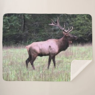 COUVERTURE SHERPA ELK MAJESTIQUE