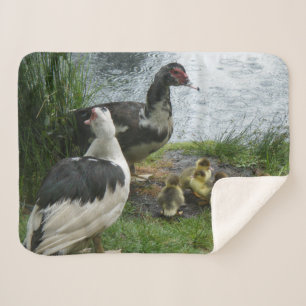 Couverture Sherpa Famille de canard de Muscovy