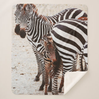 COUVERTURE SHERPA FAMILLE ZEBRA