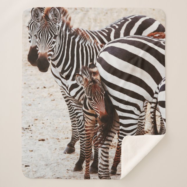 COUVERTURE SHERPA FAMILLE ZEBRA (Devant)