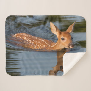 Couverture Sherpa Faon de cerf Minnesota