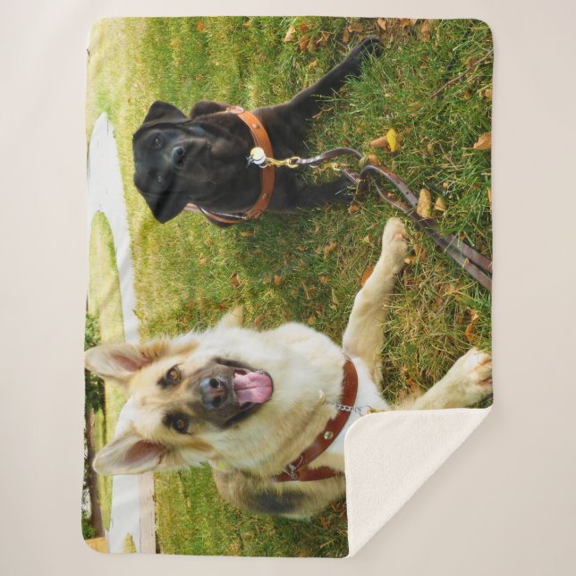 Couverture Sherpa Filles de travail (Devant)