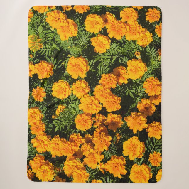 Couverture Sherpa Fleur de Marigold en fleurs (Devant)