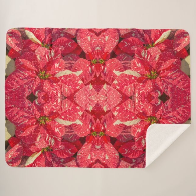Couverture Sherpa Fleur plante rouge Poinsettia (Devant (Horizontal))