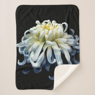 Couverture Sherpa Fleurs   Chrysanthème blanc