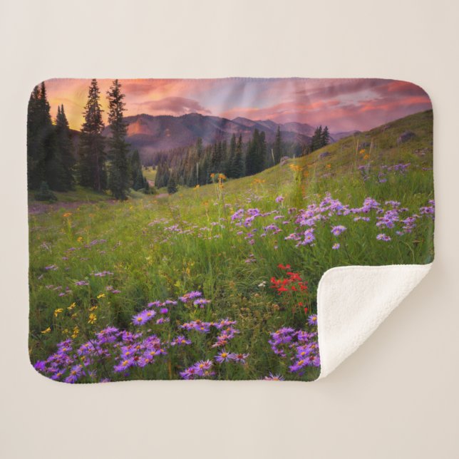 Couverture Sherpa Fleurs | Colorado Fleur sauvage violet (Devant (Horizontal))