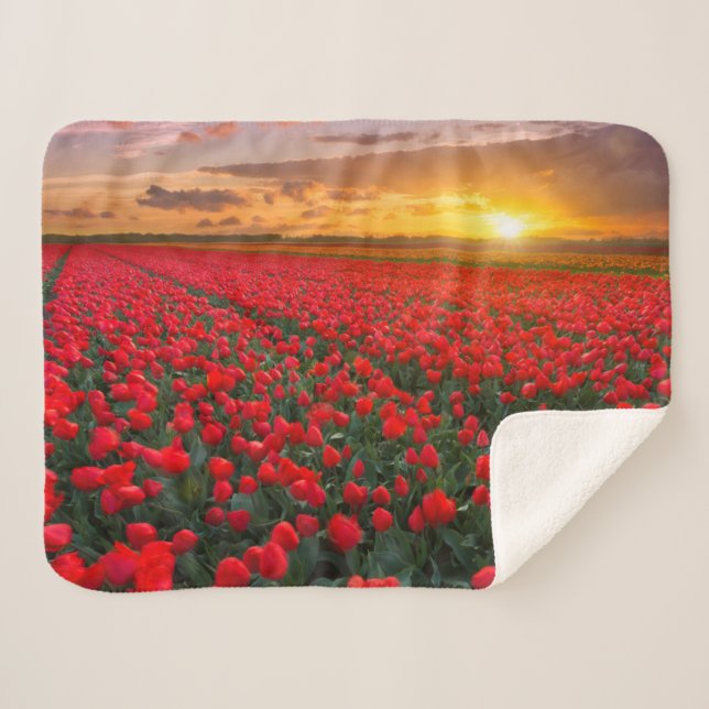 Couverture Sherpa Fleurs | Jardin botanique Hollande (Devant (Horizontal))