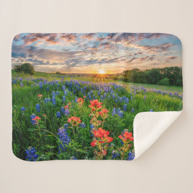 Couverture Sherpa Fleurs | Texas Bluebonnets & Indian Paintbrush (Devant (Horizontal))