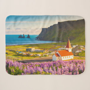 Couverture Sherpa Flowers (homonymie) Lupines in Bloom Southern Ic