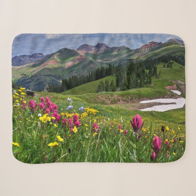 Couverture Sherpa Flowers (homonymie) | Wildflowers Durango (Devant (Horizontal))