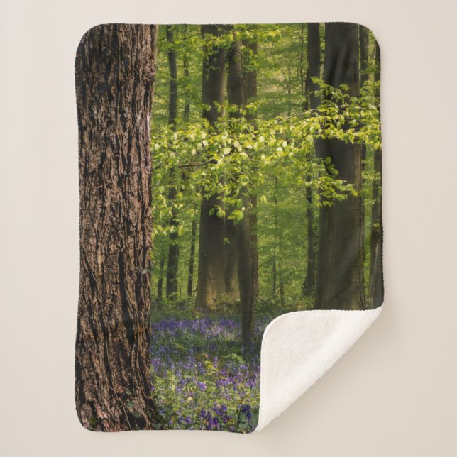 Couverture Sherpa Forest | Bluebells en Belgique (Devant)