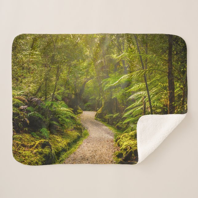 Couverture Sherpa Forêt | Chemin De Marche Dans La Forêt (Devant (Horizontal))