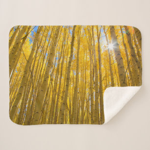 Couverture Sherpa Forêt nationale de White River