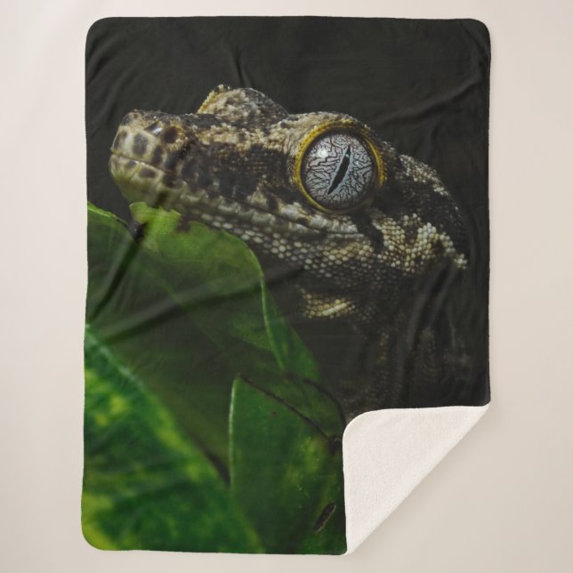 COUVERTURE SHERPA GECKO (Devant)