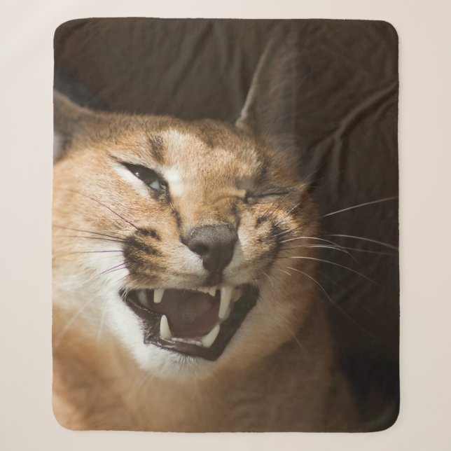 Couverture Sherpa Goofy Lynx (Devant)