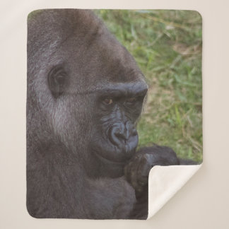 Couverture Sherpa Gorilla
